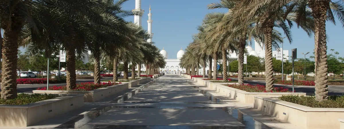 Palm-lined walkway leading toward the Sheikh Zayed Grand Mosque, with its white domes and minarets visible in the distance
