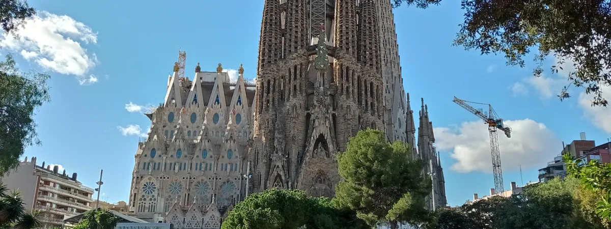The Sagrada Família's towers and spires rising above a park pond, framed by trees, with a construction crane still at work