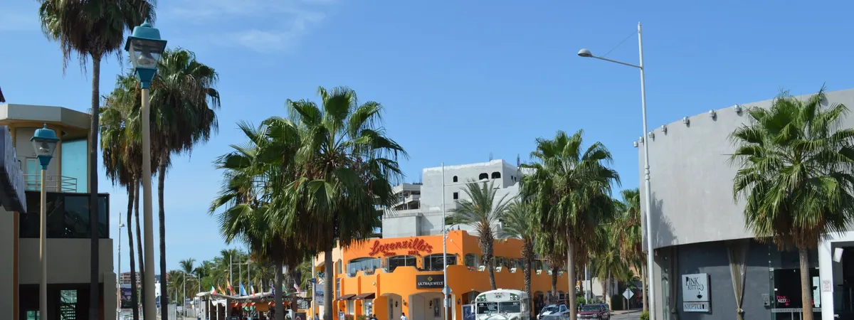Palm-lined Paseo de la Marina in downtown Cabo San Lucas, with the orange facade of the Lorenzillo's restaurant building and shops along the boulevard