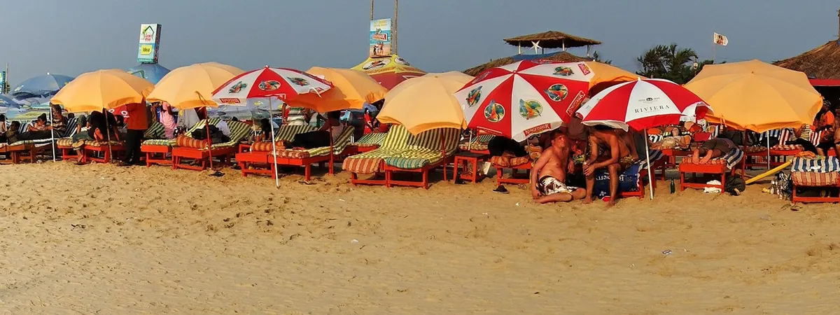 Rows of sunloungers and beach umbrellas at a beach shack along Baga Beach