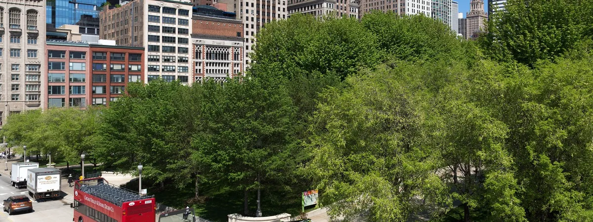 Chicago's downtown skyline of glass and steel towers seen from Millennium Park