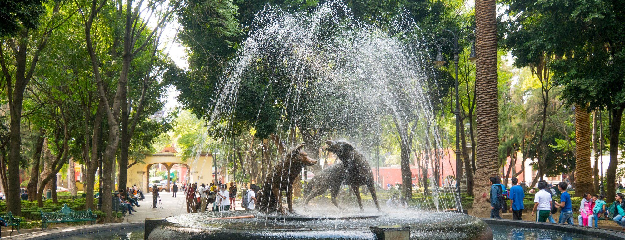 The bronze Fuente de los Coyotes fountain in the Jardín Centenario, Coyoacán, surrounded by trees and visitors