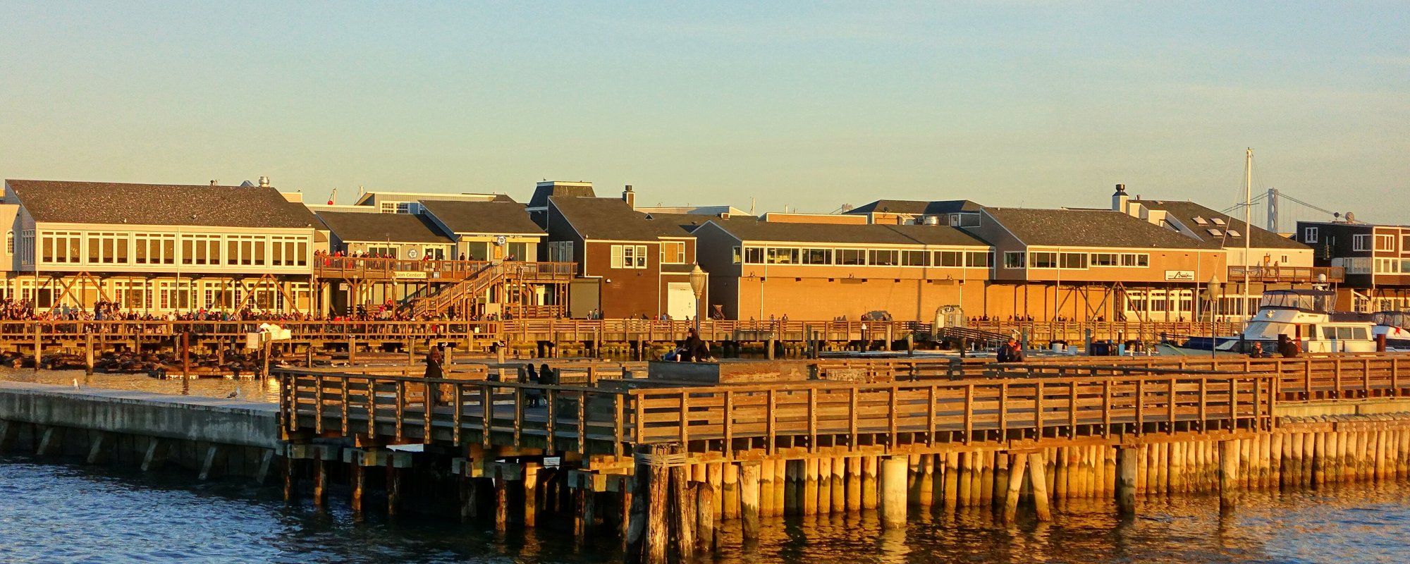Pier 39's wooden boardwalk and waterfront restaurants at sunset, with sea lions resting on the docks below