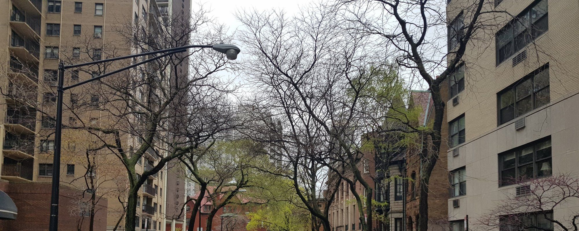 A tree-lined block of historic 19th-century mansions on Astor Street in Chicago's Gold Coast