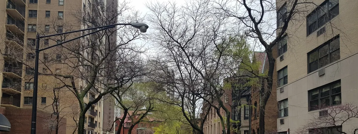 A tree-lined block of historic 19th-century mansions on Astor Street in Chicago's Gold Coast
