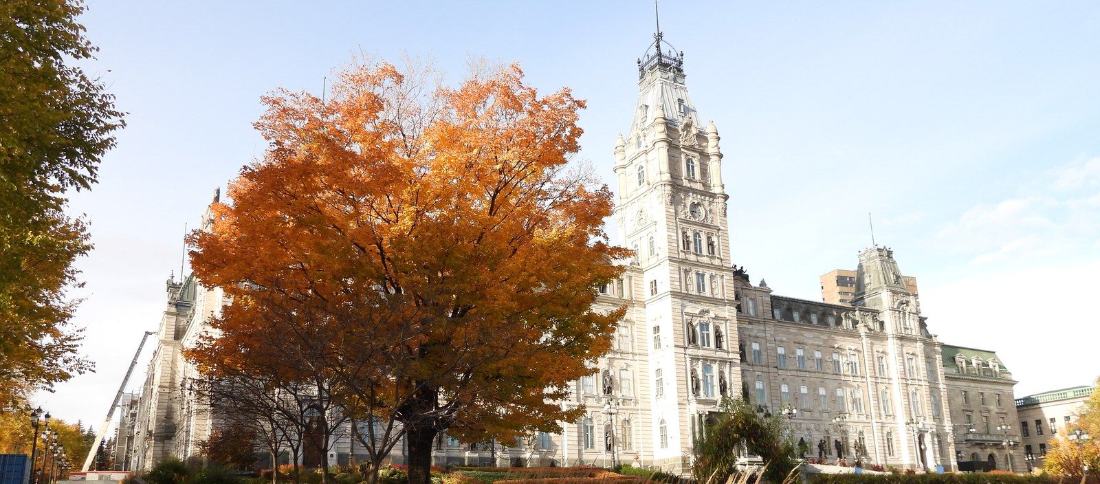 The Quebec Parliament Building's clock tower and facade behind an autumn maple tree on Grande Allée