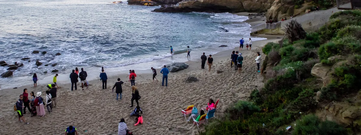 La Jolla Cove at sunset, with sandstone cliffs, a small sandy beach, and the coastal village on the bluffs above