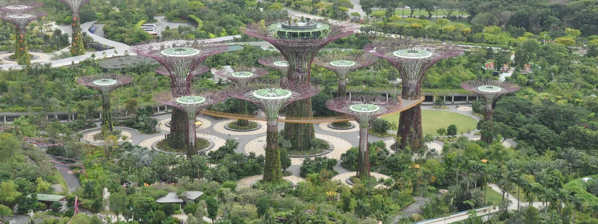 The Supertree Grove at Gardens by the Bay, Marina Bay, Singapore
