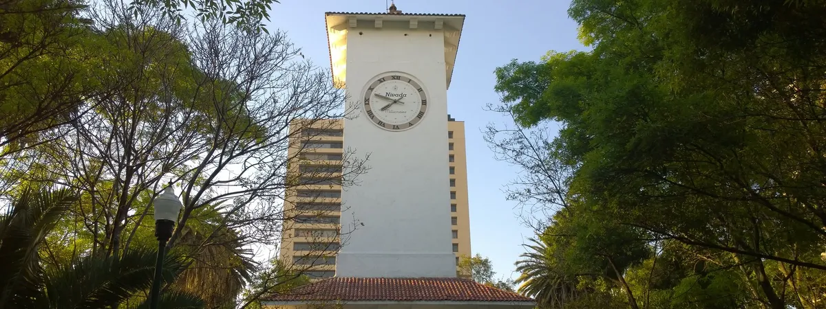 The clock tower in Parque Lincoln, Polanco, seen through the surrounding trees with a high-rise building behind it