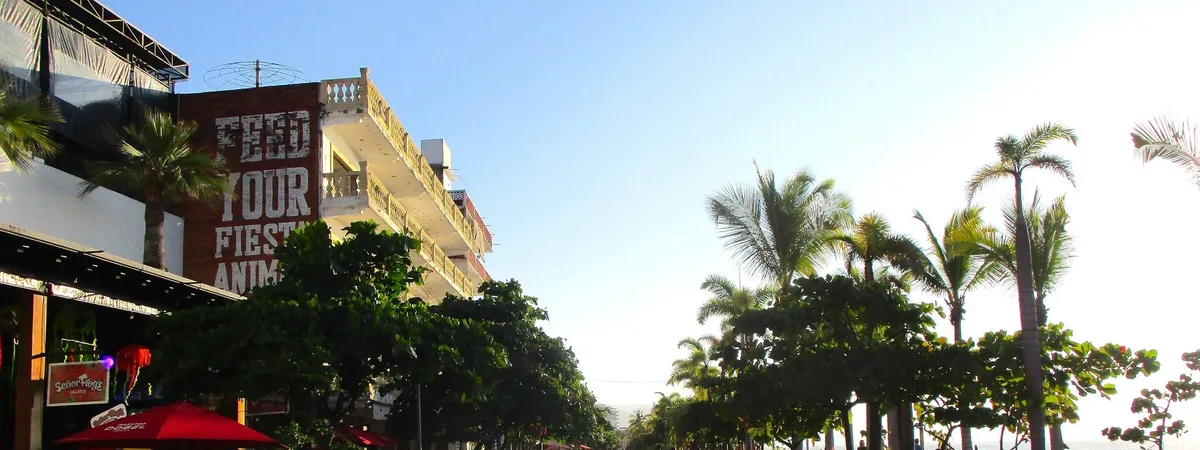 The cobblestone Malecón boardwalk in Puerto Vallarta at sunset, lined with palm trees and restaurants, with the Bay of Banderas visible at the end of the street