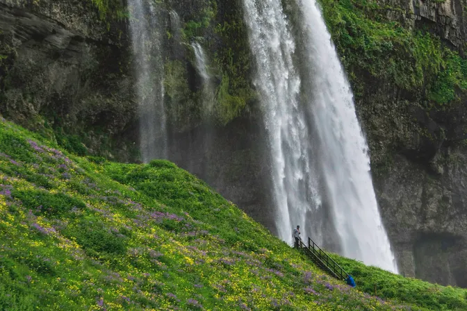 Skógafoss's full drop seen from its base, a lone hiker climbing the viewing stairs for scale amid wildflowers