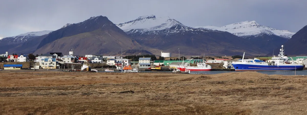 Fishing boats moored in Höfn's harbor with mountains rising in the background under a clear sky