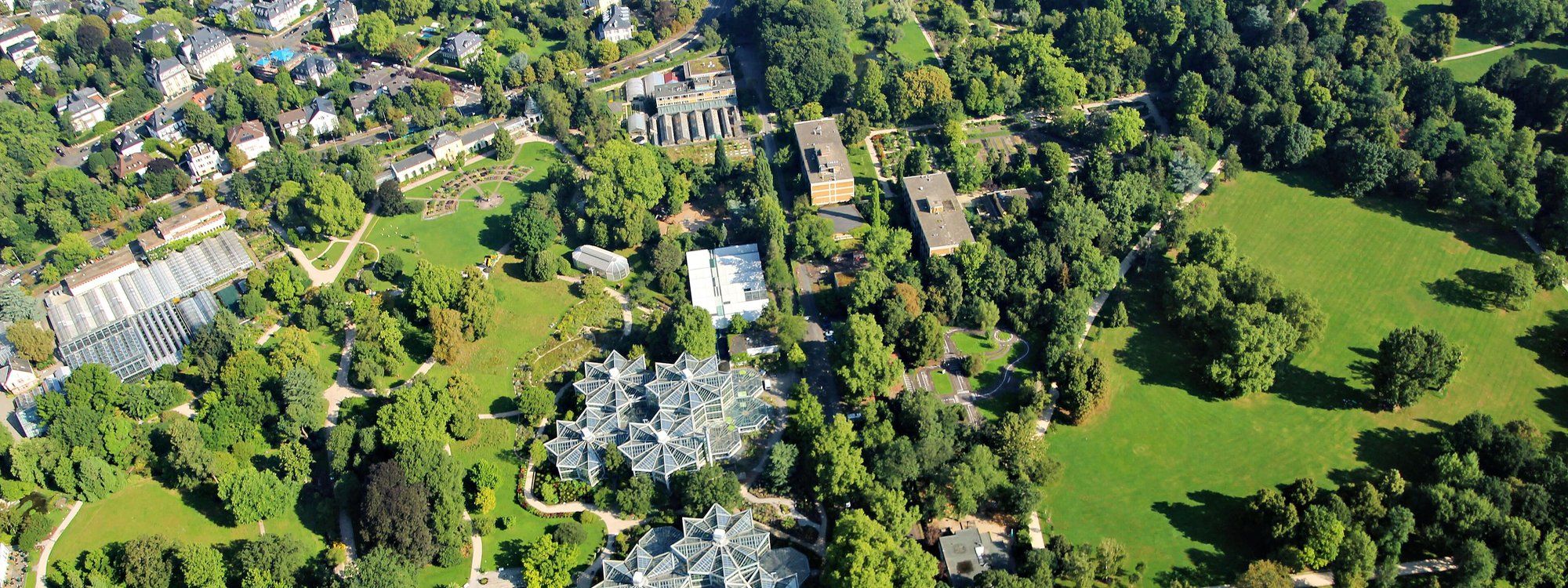 Aerial view over the Palmengarten botanical garden in Frankfurt's Westend, with its glasshouses and lawns bordered by tree-lined streets
