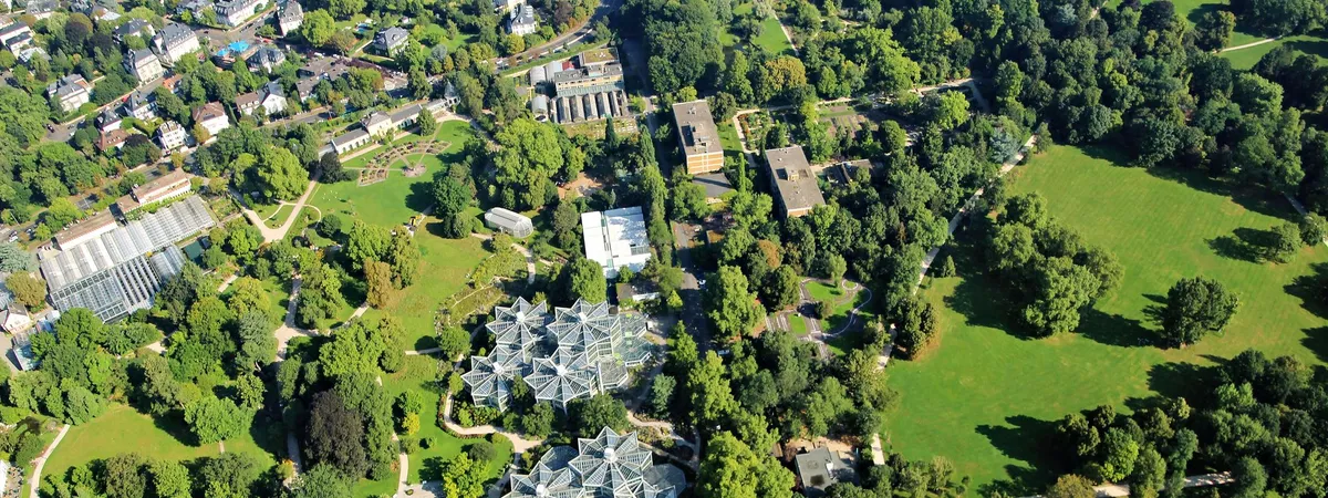 Aerial view over the Palmengarten botanical garden in Frankfurt's Westend, with its glasshouses and lawns bordered by tree-lined streets