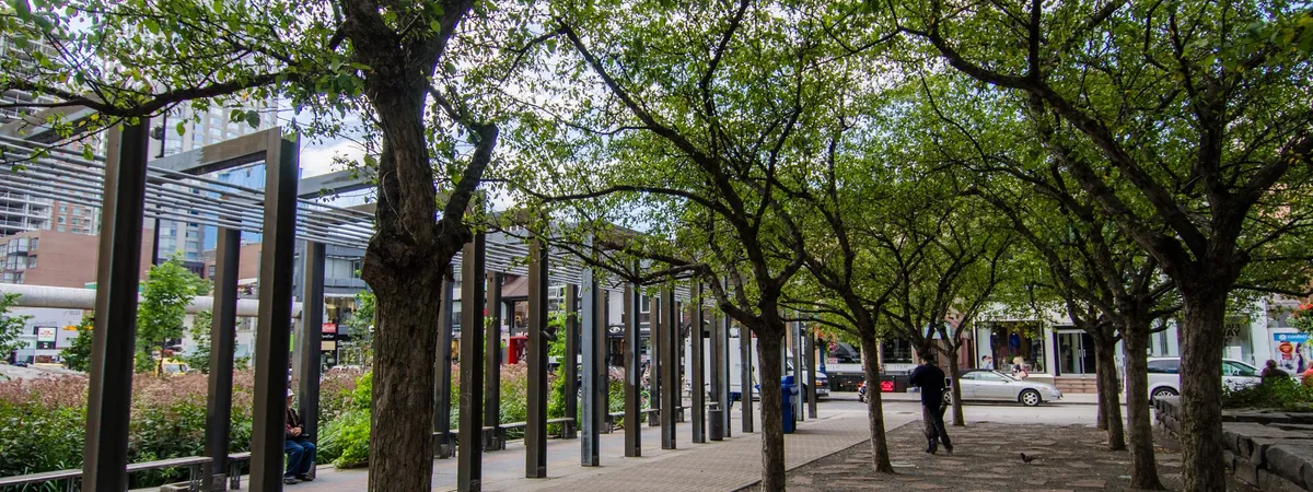 A tree-lined pedestrian walkway through the Village of Yorkville Park, with a steel pergola over the path and shopfronts in the background