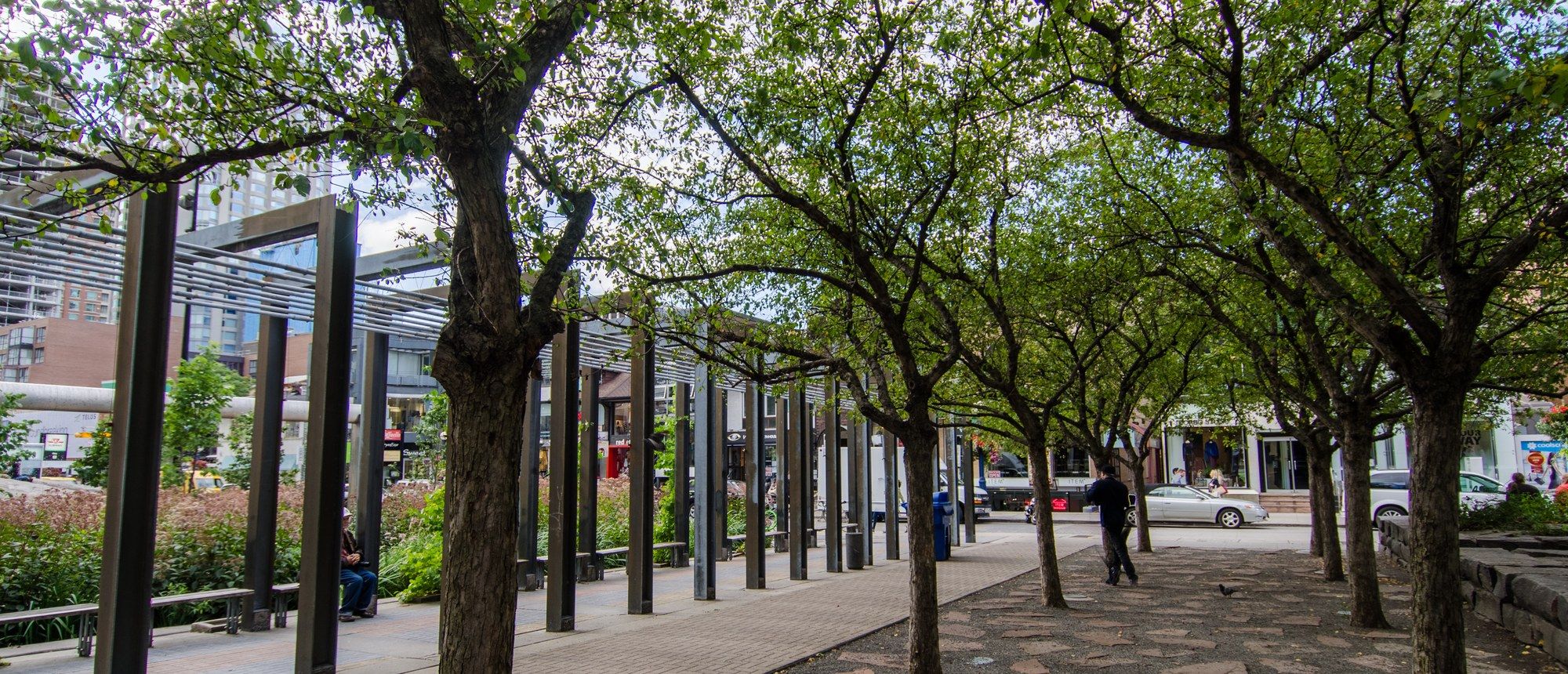 A tree-lined pedestrian walkway through the Village of Yorkville Park, with a steel pergola over the path and shopfronts in the background
